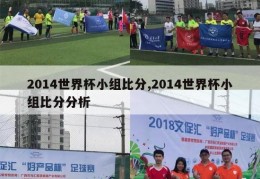 2014世界杯小组比分,2014世界杯小组比分分析