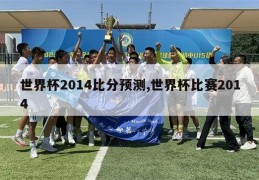 世界杯2014比分预测,世界杯比赛2014