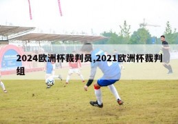 2024欧洲杯裁判员,2021欧洲杯裁判组