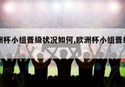 欧洲杯小组晋级状况如何,欧洲杯小组晋级规定