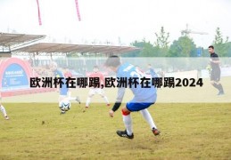 欧洲杯在哪踢,欧洲杯在哪踢2024