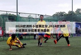 2024欧洲杯小组赛比分,2024欧洲杯小组赛比分结果查询最新