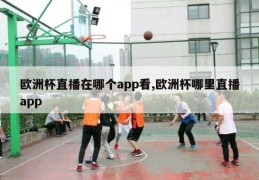 欧洲杯直播在哪个app看,欧洲杯哪里直播app