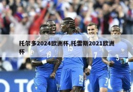 托尔多2024欧洲杯,托雷斯2021欧洲杯