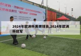 2024年欧洲杯黄牌球员,2024年欧洲杯冠军