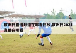 欧洲杯直播频道在哪看回放,欧洲杯2021直播在哪看