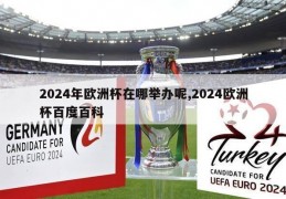 2024年欧洲杯在哪举办呢,2024欧洲杯百度百科