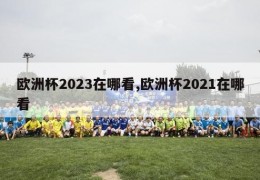 欧洲杯2023在哪看,欧洲杯2021在哪看