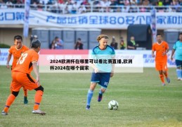 2024欧洲杯在哪里可以看比赛直播,欧洲杯2024在哪个国家