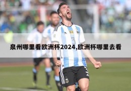 泉州哪里看欧洲杯2024,欧洲杯哪里去看