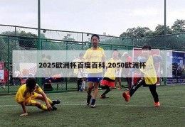 2025欧洲杯百度百科,2050欧洲杯