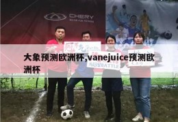 大象预测欧洲杯,vanejuice预测欧洲杯